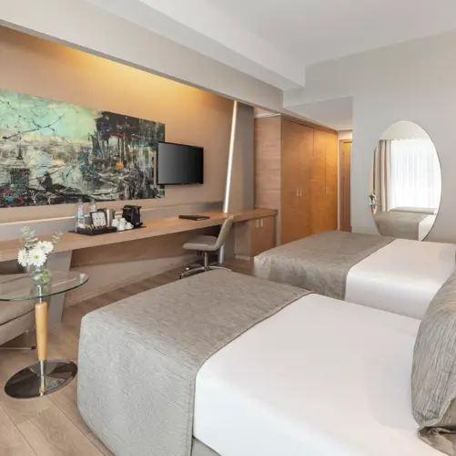 Deluxe Room 2 Single Beds