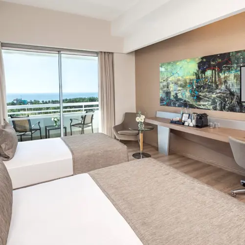 Deluxe Room General View 2