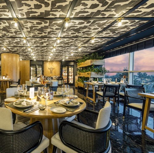 VİNARİO 2 (Büyük)