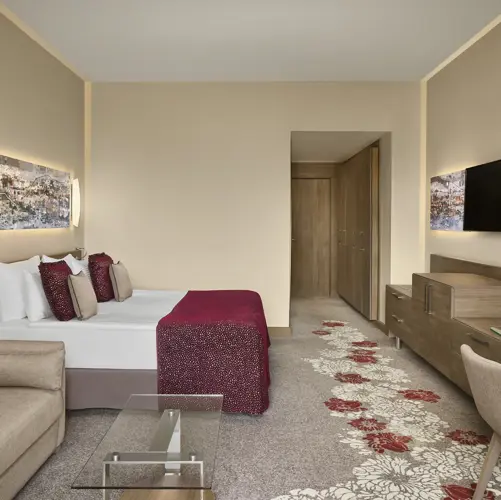 DELUXE GARDEN VIEW ROOM2