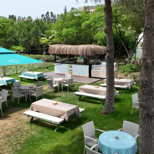 Concord General View 62