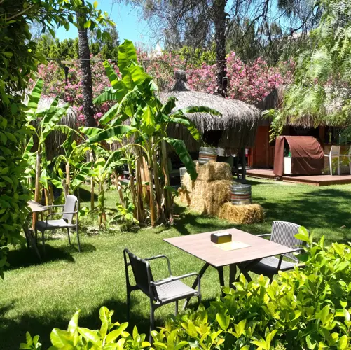 Concord General View 70