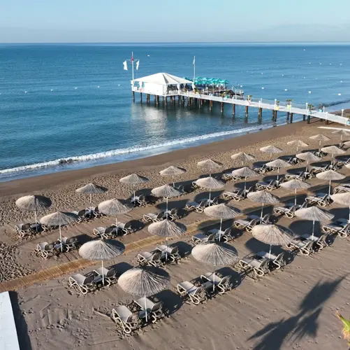 Concord General View 47