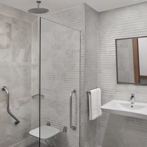 DELUXE ACCESSIBLE ROOM5