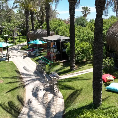 Concord General View 66