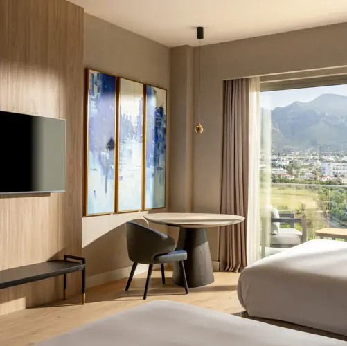 DELUXE ROOM TWIN BED (LAND VIEW)7