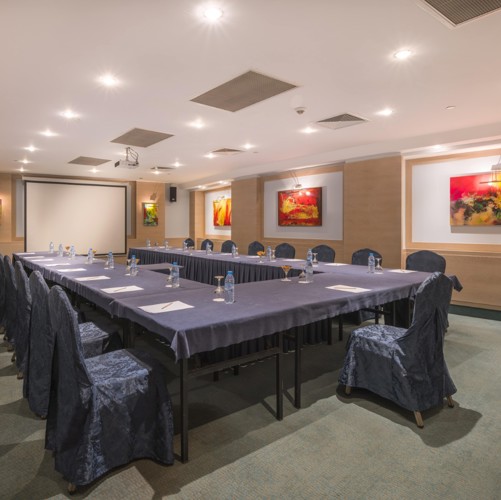 MİNİ VENÜS 1 (Büyük)