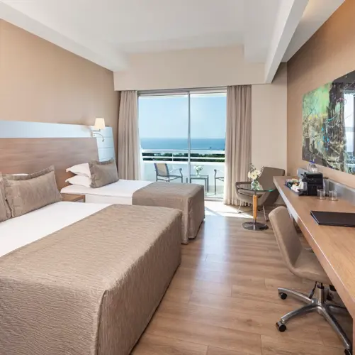 Deluxe Room General View 1