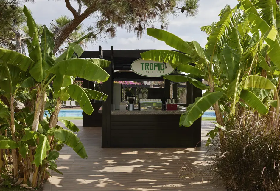 TROPIC BAR3