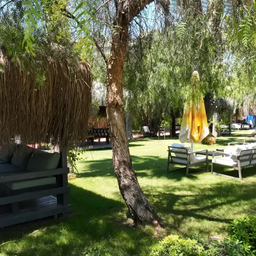 Concord General View 73