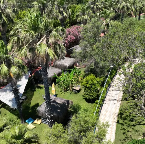 Concord General View 68