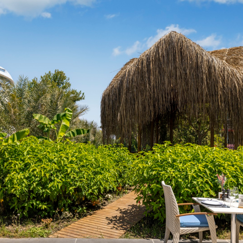 GARDEN PAVİLYON 1(1)