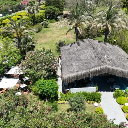 Concord General View 64